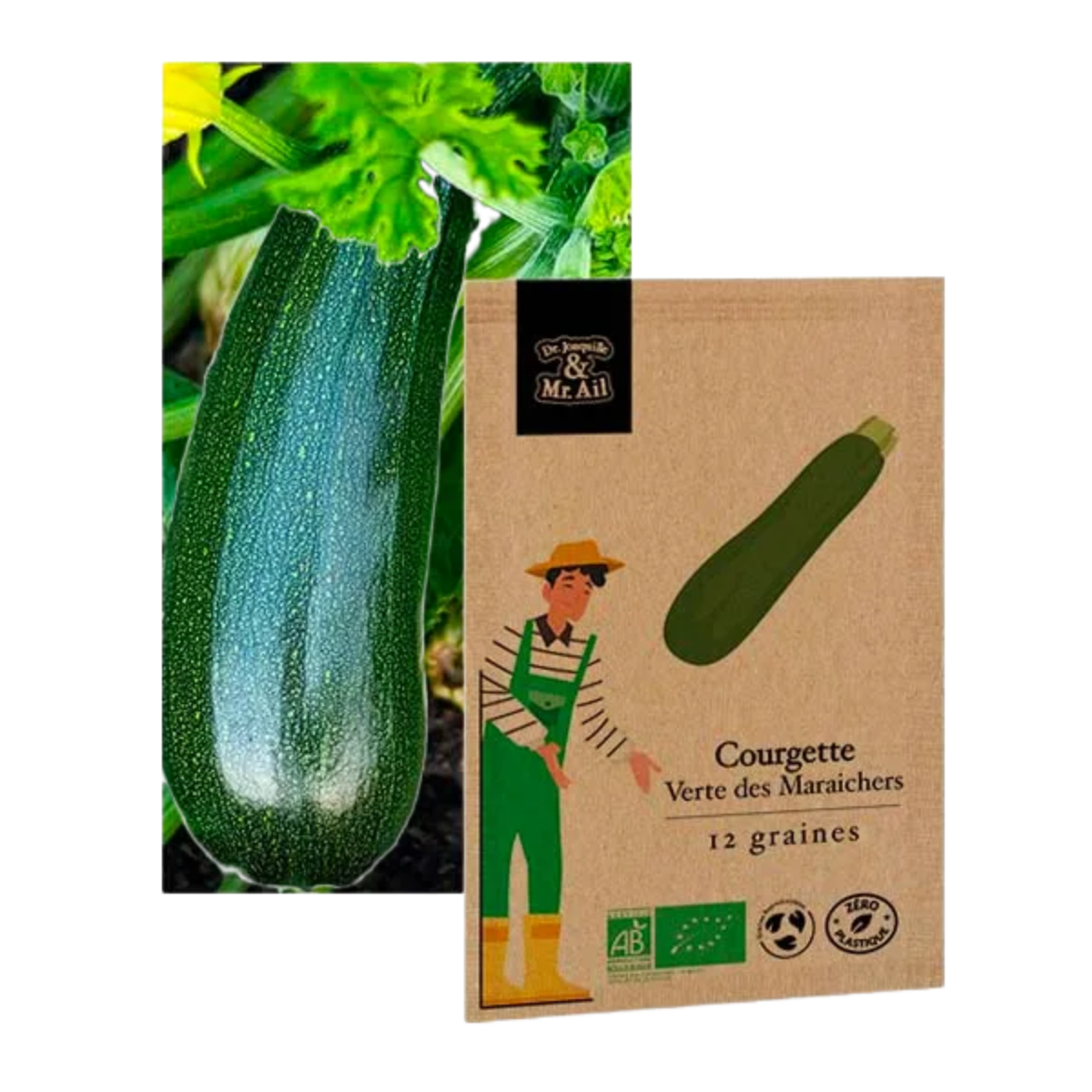 Courgette verte non coureuse des maraîchers
