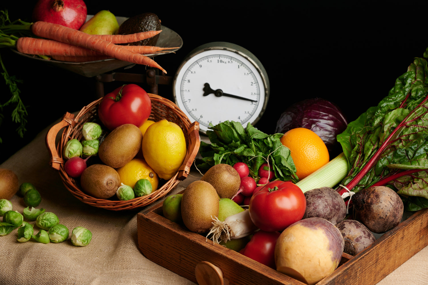 Le coin du Potager