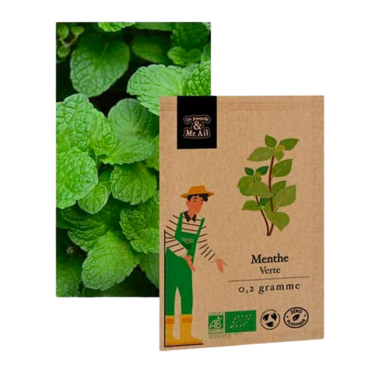 Menthe verte