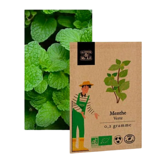 Menthe verte