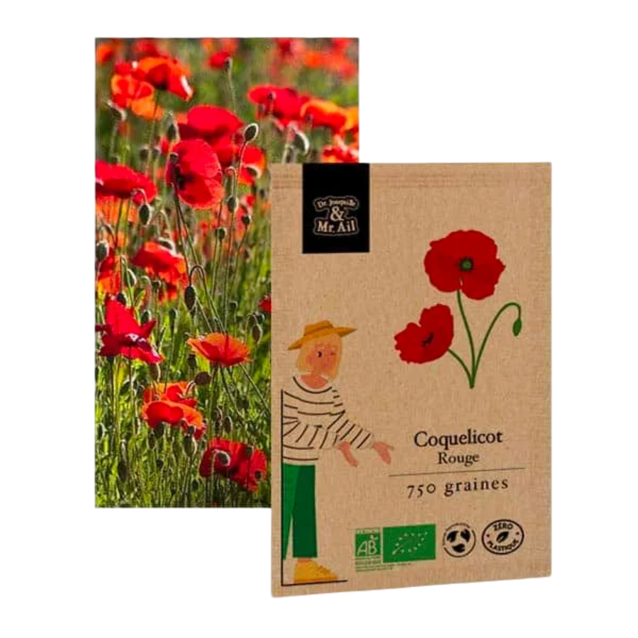 Coquelicot rouge
