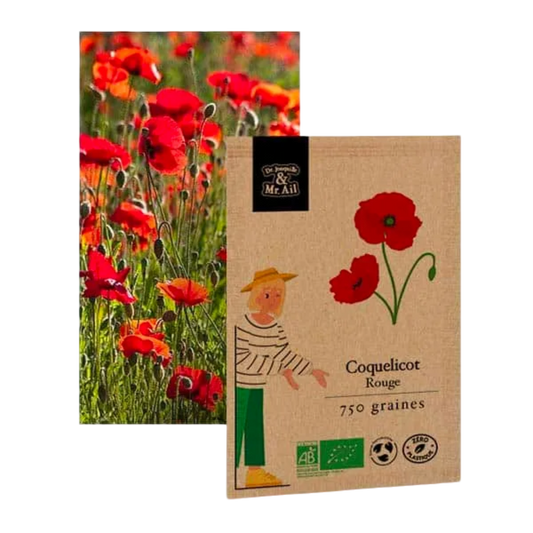 Coquelicot rouge