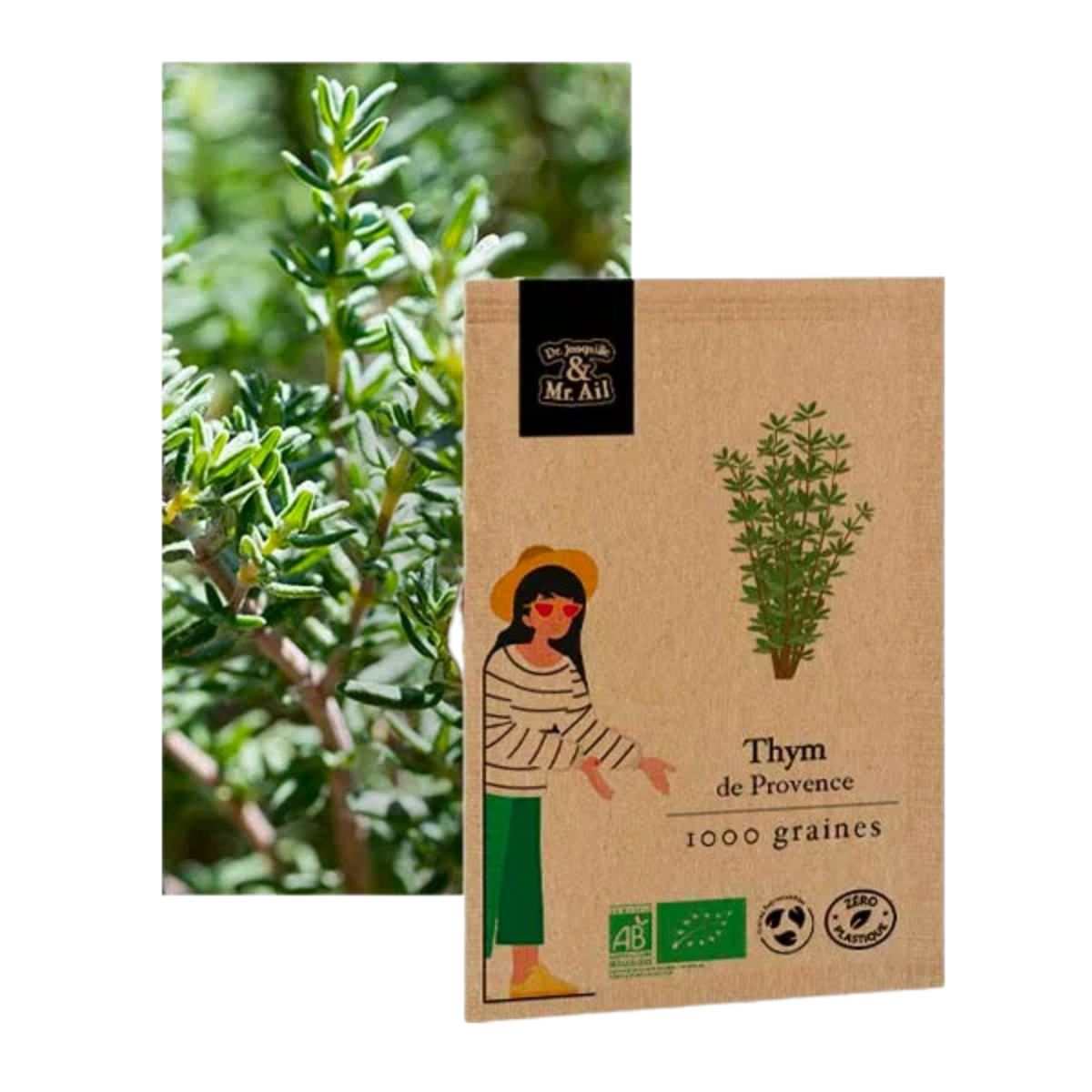 Thym de provence