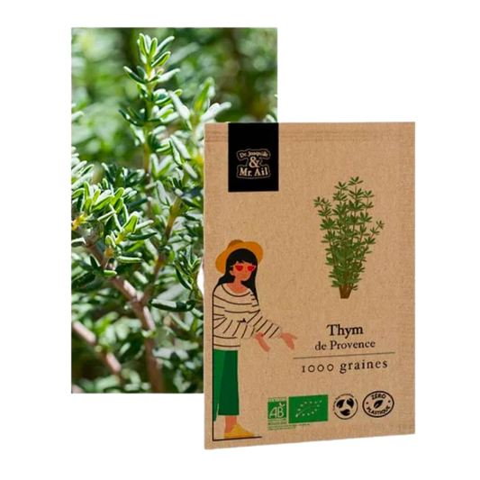 Thym de provence