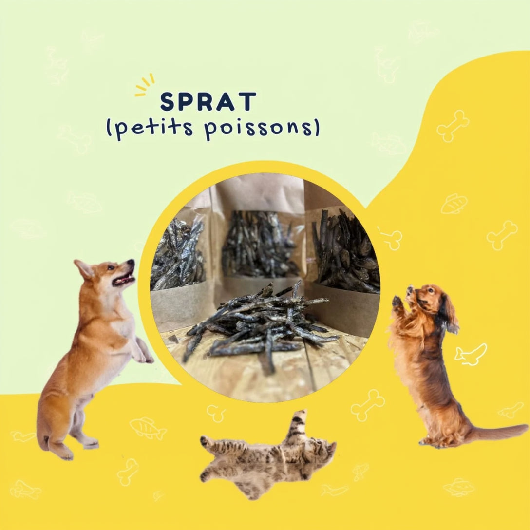 Sprat (petits poissons) 50g
