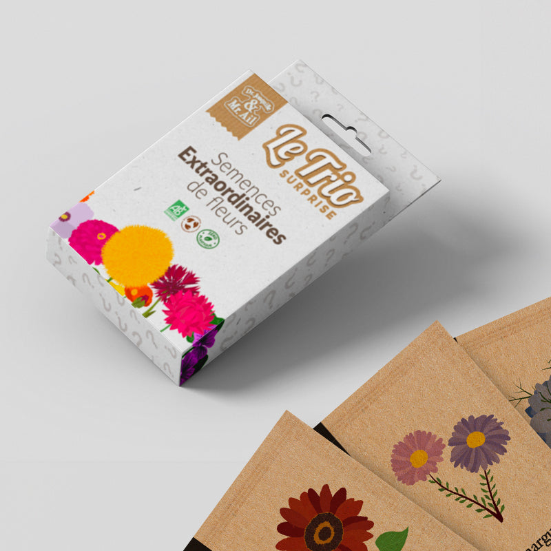 Trio surprise - Les fleurs extraordinaires