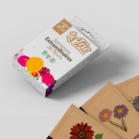 Trio surprise - Les fleurs extraordinaires