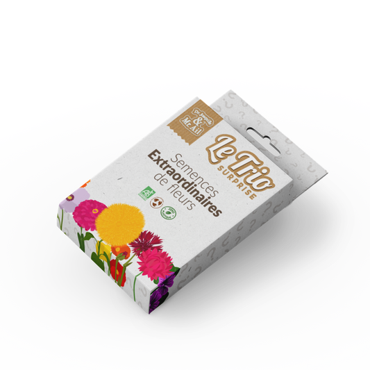 Trio surprise - Les fleurs extraordinaires
