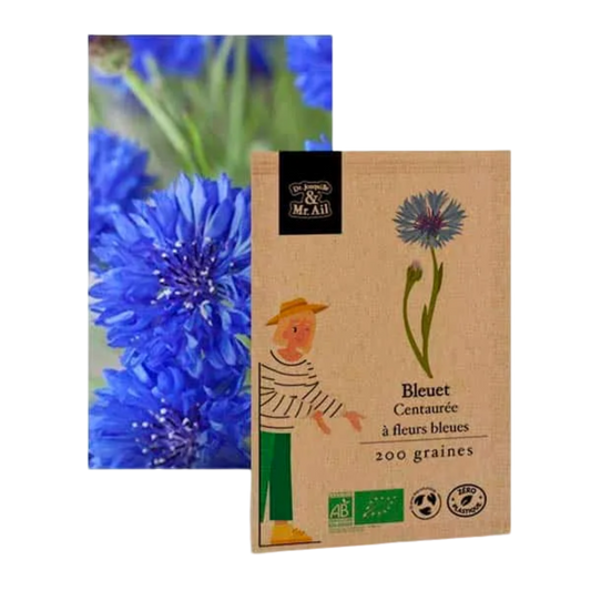 Bleuet centaurée à fleurs bleues