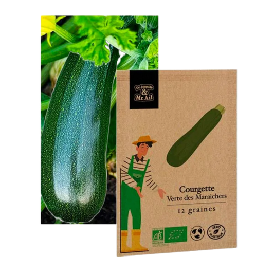 Courgette verte non coureuse des maraîchers