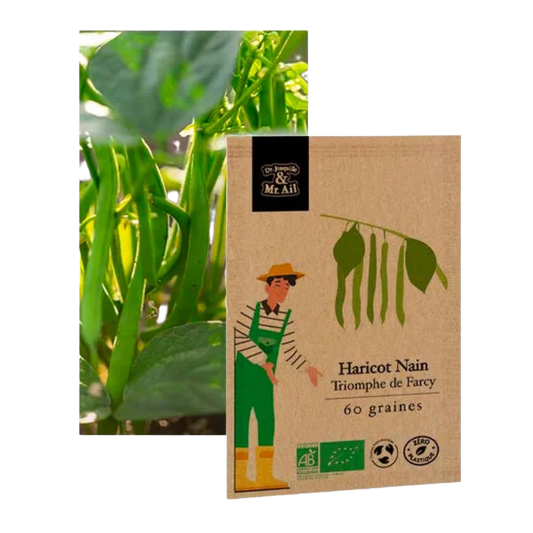 Haricots nain triomphe de Farcy