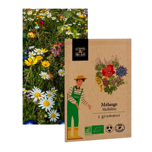 Mélange de fleurs mellifères