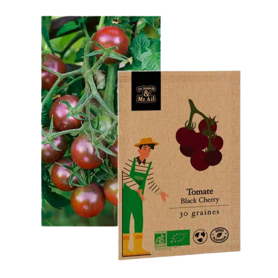 Tomate black cherry