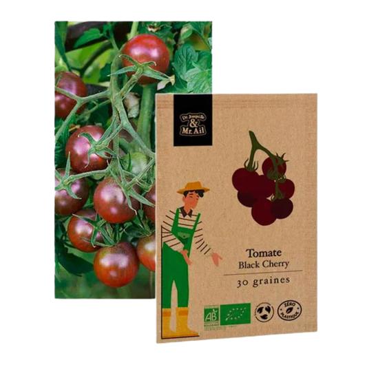 Tomate black cherry