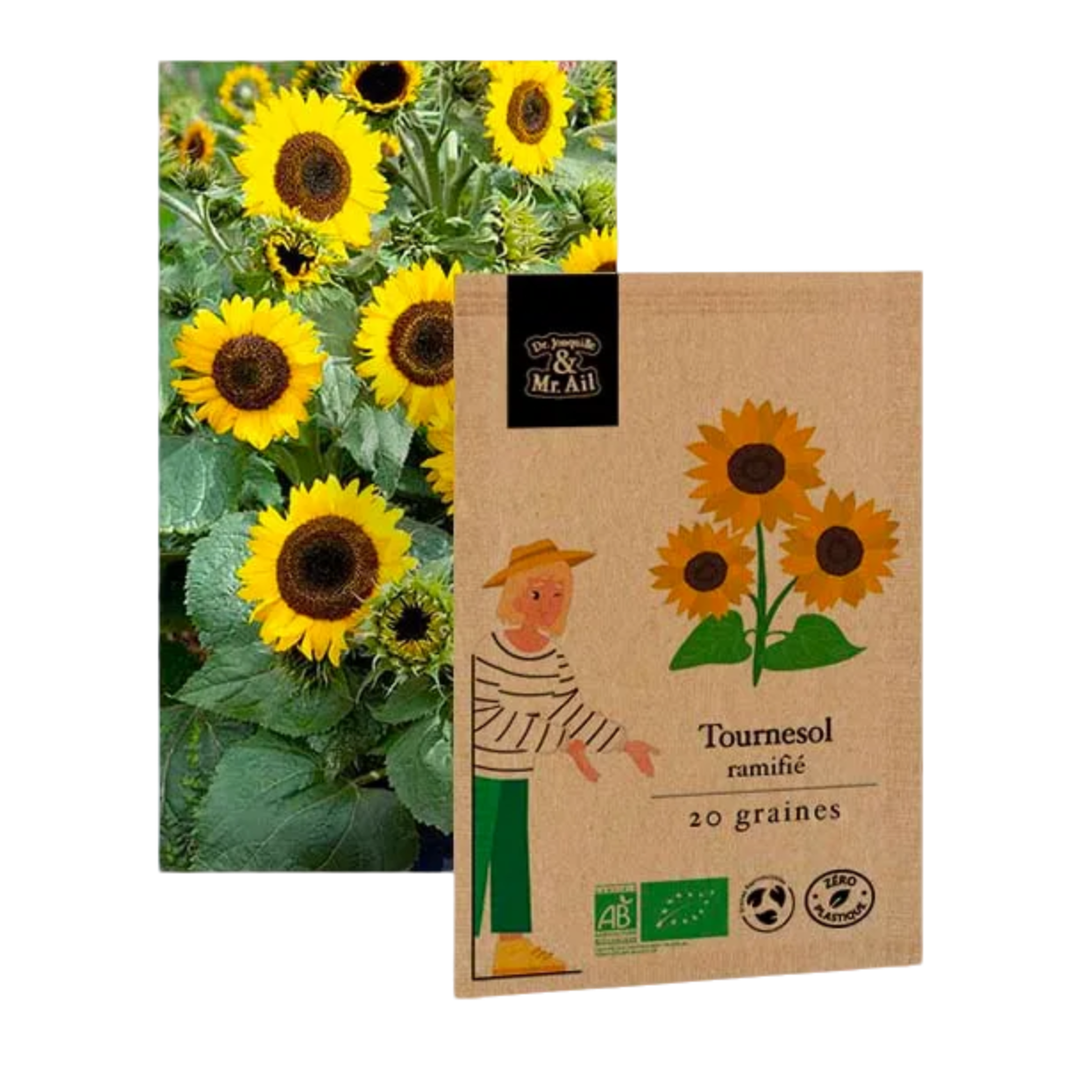 Tournesol ramifié